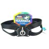 Coastal Pet Size Right Nylon Adjustable Harness